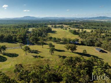 Lifestyle For Sale - NSW - Sedgefield - 2330 - Wisemans Way - Rural living just 7 minutes from town!  (Image 2)