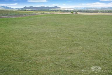 Lifestyle For Sale - QLD - Dimbulah - 4872 - LIFESTYLE ADDRESS WITH FARMING OPTIONS  (Image 2)