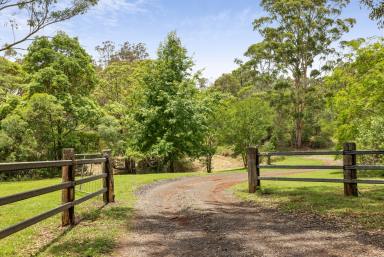 House For Sale - QLD - Cabarlah - 4352 - Cabalah Acreage with Escarpment Views and Two Homes  (Image 2)