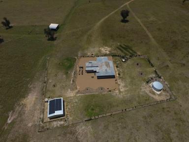 Livestock For Sale - NSW - Tenterfield - 2372 - RENOVATED 'PLANTATION' HOME ON 900 ACRES  (Image 2)