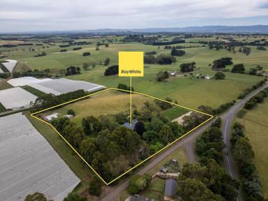 House For Sale - VIC - Warragul West - 3821 - PERIOD FARMHOUSE, 7 ACRES, VINYARD AND HORSE FACILITIES  (Image 2)