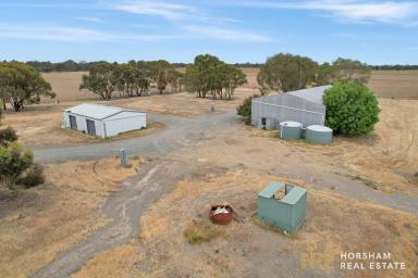 Commercial Farming For Lease - VIC - Drung - 3401 - Farming Land & Sheds For Lease  (Image 2)