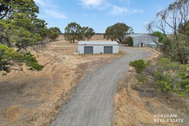 Commercial Farming For Lease - VIC - Drung - 3401 - Farming Land & Sheds For Lease  (Image 2)