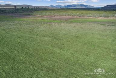 Cropping For Sale - QLD - Dimbulah - 4872 - PASTORAL LIVING & AGRICULTURAL POTENTIAL ON THE WALSH  (Image 2)