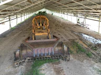 Mixed Farming For Sale - QLD - Glenwood - 4570 - Two Large Sheds On 159 Acres With Improved Pasture  (Image 2)