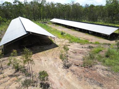 Mixed Farming For Sale - QLD - Glenwood - 4570 - Two Large Sheds On 159 Acres With Improved Pasture  (Image 2)