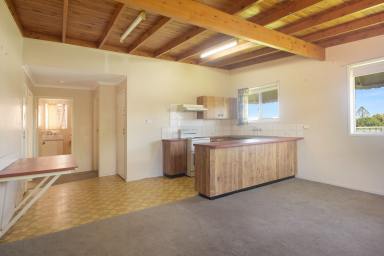 Unit For Lease - QLD - Darling Heights - 4350 - Tidy Unit in Darling Heights  (Image 2)