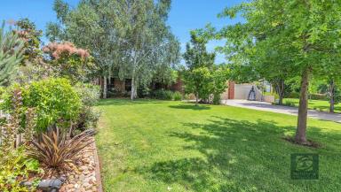 House For Sale - NSW - Moama - 2731 - Quality family home that ticks all the boxes!  (Image 2)