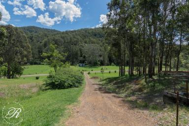 Acreage/Semi-rural For Sale - NSW - Bowman - 2422 - 5 acres with River Frontage  (Image 2)