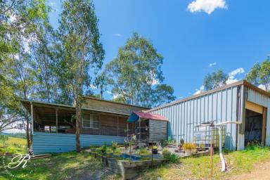 Acreage/Semi-rural For Sale - NSW - Bowman - 2422 - 5 acres with River Frontage  (Image 2)