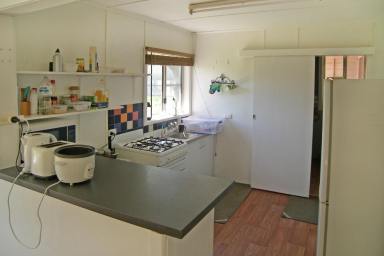 House For Sale - NSW - Bourke - 2840 - Just a stone throw from the Darling river.  (Image 2)