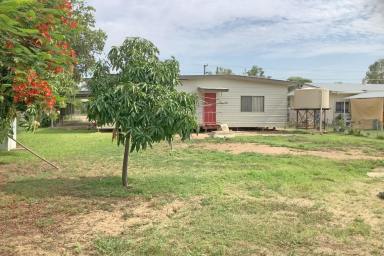 House For Sale - QLD - Longreach - 4730 - Spacious Block, Solid Home – Renovator's Dream  (Image 2)