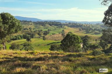 Residential Block For Sale - NSW - Coopers Gully - 2550 - Prime Acreage with Stunning Views in Coopers Gully  (Image 2)