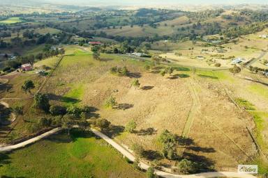 Residential Block For Sale - NSW - Coopers Gully - 2550 - Prime Acreage with Stunning Views in Coopers Gully  (Image 2)