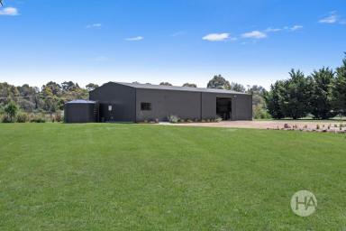 Acreage/Semi-rural For Sale - VIC - Hastings - 3915 - Contemporary Semi-Rural Living  (Image 2)