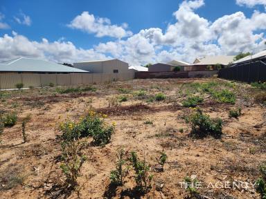 Residential Block For Sale - WA - Kalbarri - 6536 - Vacant town block  (Image 2)