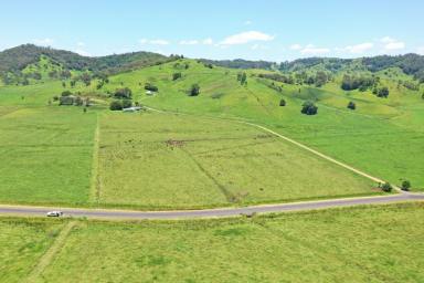 Mixed Farming For Sale - NSW - Kyogle - 2474 - COLLINS CREEK - 335 ACRES  (Image 2)