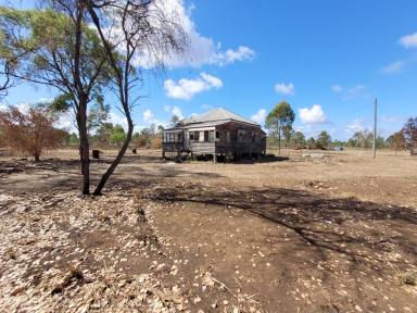 Lifestyle For Sale - QLD - Alton Downs - 4702 - 19.23ha (approx 50 acres) 13km to Rockhampton City  (Image 2)