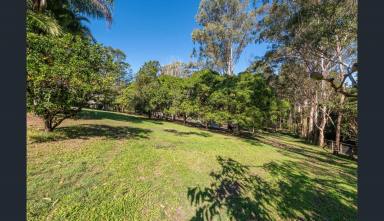 House For Sale - QLD - Diddillibah - 4559 - Family-Friendly Acreage: Lifestyle, Location, Versatility!  (Image 2)