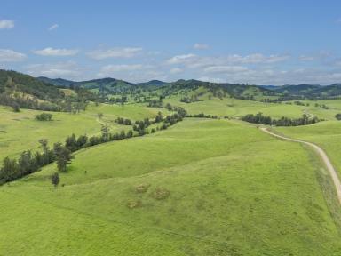 Lifestyle Auction - NSW - Belbora - 2422 - 'Kokebagu' - A Picturesque 455-Acre Paradise in the Heart of the Belbora Valley  (Image 2)