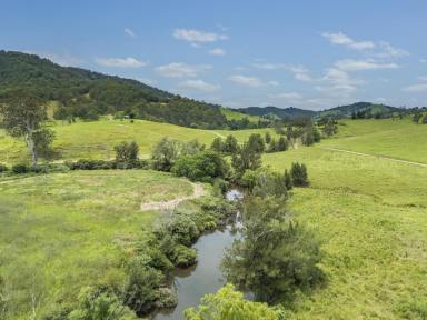 Lifestyle Auction - NSW - Belbora - 2422 - Rural Grazing Retreat  (Image 2)