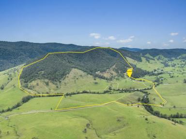 Lifestyle Auction - NSW - Belbora - 2422 - 'Kokebagu' - A Picturesque 455-Acre Paradise in the Heart of the Belbora Valley  (Image 2)