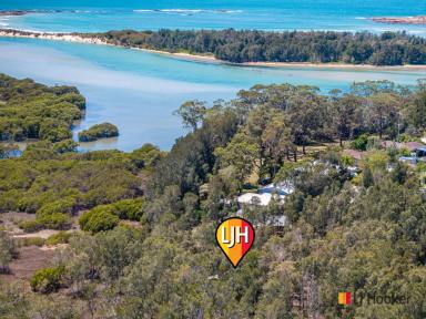 House For Sale - NSW - Mossy Point - 2537 - Eclectic Pole Home with a Fantastic Bungalow Vibe... only 1km to Boat Ramp !  (Image 2)