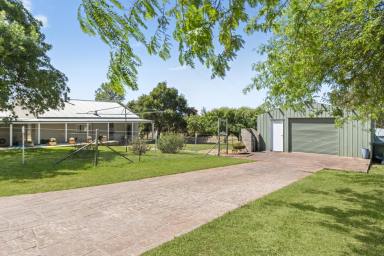 Lifestyle For Sale - NSW - Goulburn - 2580 - Ready to Enjoy  (Image 2)