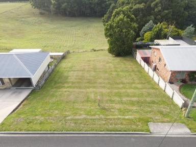 Residential Block For Sale - TAS - Smithton - 7330 - Ready to Build! Plans are available and ready to build your dream home.  (Image 2)