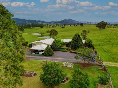 Livestock For Sale - NSW - Gloucester - 2422 - WELCOME TO “VILLA MEDICI”  (Image 2)