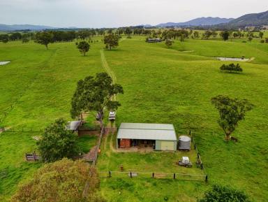 Livestock For Sale - NSW - Gloucester - 2422 - WELCOME TO “VILLA MEDICI”  (Image 2)