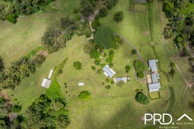 Lifestyle For Sale - NSW - Roseberry Creek - 2474 - 125 Acres of Lifestyle with Creek & Accommodation  (Image 2)