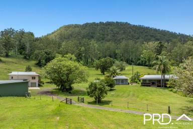 Lifestyle For Sale - NSW - Roseberry Creek - 2474 - 125 Acres of Lifestyle with Creek & Accommodation  (Image 2)