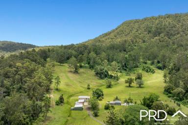 Lifestyle For Sale - NSW - Roseberry Creek - 2474 - 125 Acres of Lifestyle with Creek & Accommodation  (Image 2)