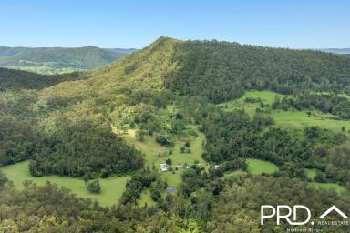 Lifestyle For Sale - NSW - Roseberry Creek - 2474 - 125 Acres of Lifestyle with Creek & Accommodation  (Image 2)