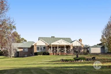 Acreage/Semi-rural For Sale - VIC - Tyabb - 3913 - Dual Living With Luxury Alfresco  (Image 2)