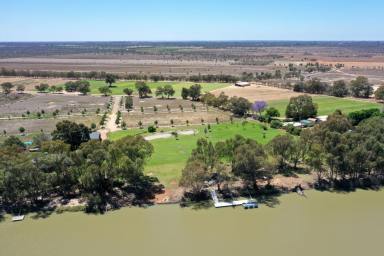 Residential Block For Sale - NSW - Boeill Creek - 2739 - THE BEST PIECE OF REAL ESTATE IN THE DISTRICT  (Image 2)