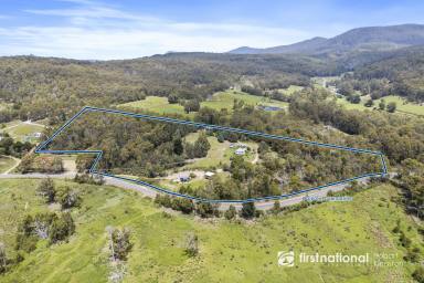 House For Sale - TAS - South Bruny - 7150 - A Unique Lifestyle  (Image 2)