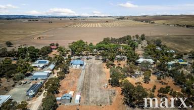 Residential Block For Sale - SA - Dutton - 5356 - Generous building allotment in Dutton….  (Image 2)