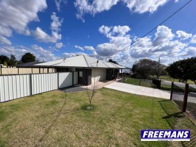 House For Sale - QLD - Kingaroy - 4610 - Modern Brick great views & 17.8m industrial shed  (Image 2)