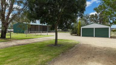 Lifestyle For Sale - VIC - Mywee - 3641 - RURAL LIFESTYLE - ESCAPE TO NATURE  (Image 2)