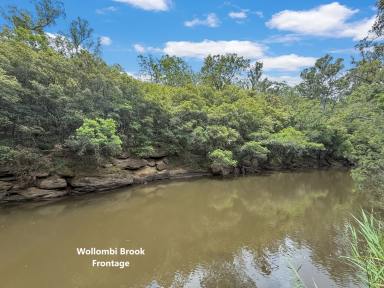 Lifestyle For Sale - NSW - Wollombi - 2325 - Diverse 88 Acres in a Prime Wollombi Location  (Image 2)