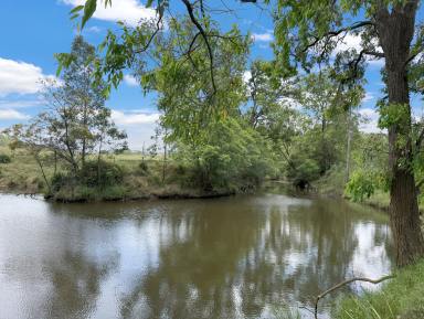 Lifestyle For Sale - NSW - Wollombi - 2325 - Diverse 88 Acres in a Prime Wollombi Location  (Image 2)