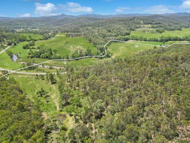 Lifestyle For Sale - NSW - Wollombi - 2325 - Diverse 88 Acres in a Prime Wollombi Location  (Image 2)