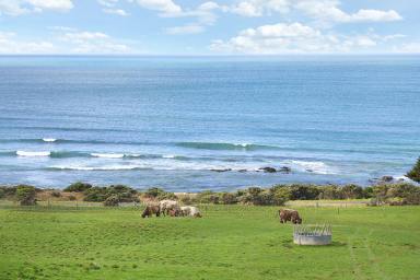 Farmlet Auction - VIC - Apollo Bay - 3233 - CAPTIVATING APOLLO BAY PROPERTY  (Image 2)