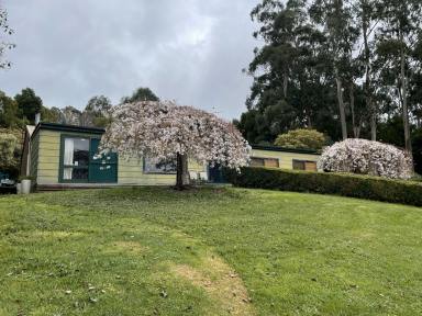 Lifestyle For Sale - VIC - Willung South - 3847 - Billabong Creek Farm - A unique opportunity awaits!  (Image 2)