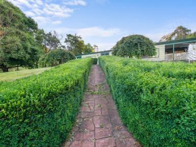 Lifestyle For Sale - VIC - Willung South - 3847 - Billabong Creek Farm - A unique opportunity awaits!  (Image 2)