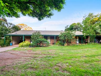 Lifestyle For Sale - VIC - Willung South - 3847 - Billabong Creek Farm - A unique opportunity awaits!  (Image 2)