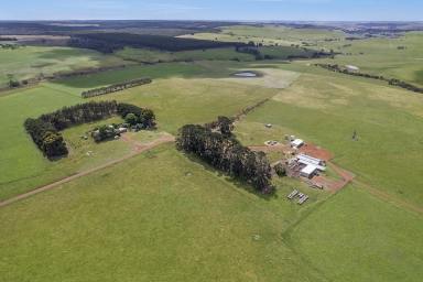 Mixed Farming For Sale - VIC - Digby - 3309 - "HILL VIEW"  (Image 2)