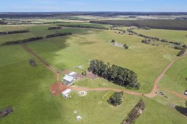 Mixed Farming For Sale - VIC - Digby - 3309 - "HILL VIEW"  (Image 2)